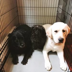 Meet your Posher, Katelyn